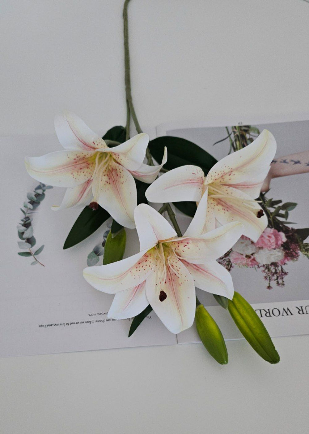 Лилия / Арт 2189