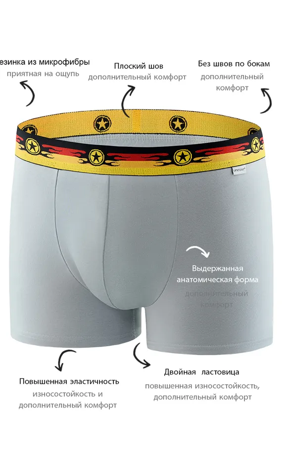 Мужские трусы BB33 Серый