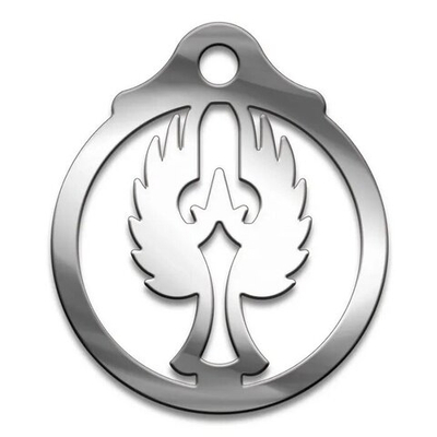 Амулет Серия Символы Суперхит №01 Ангел медицинская сталь