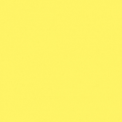 Нетканый фон Fotokvant FTR-1348 1,6х5,0 м подсолнечник