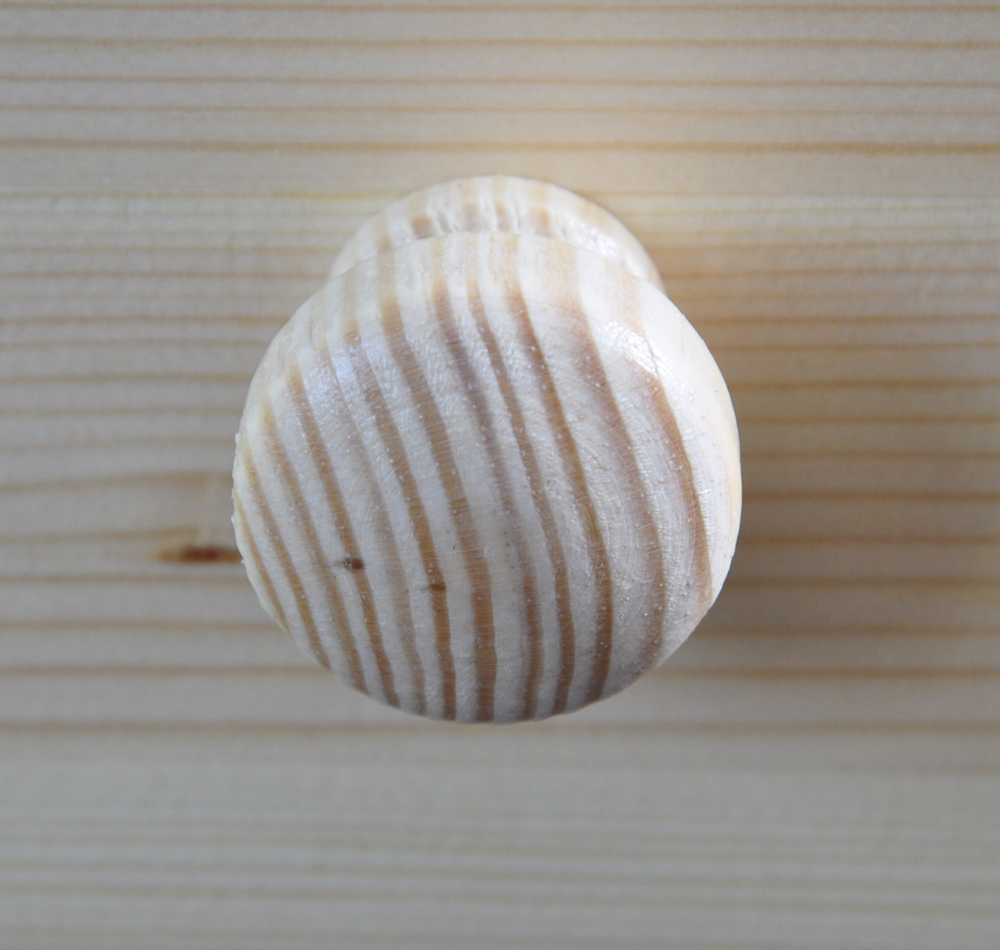 Стол письменный, 110х70х78, Corner (Корнер), компьютерный, массив сосны, лак, Dipriz