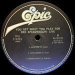 REO Speedwagon / You Get What You Play For (LP)