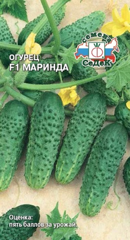 Огурец Маринда F1 7шт/0,2гр Седек