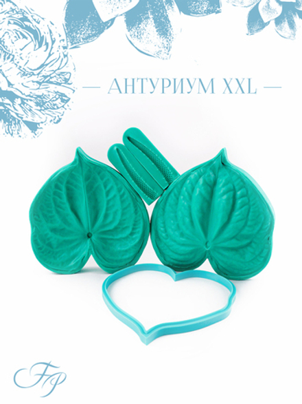 Антуриум XXL