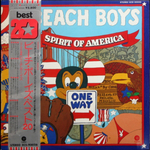 The Beach Boys / Spirit Of America (LP)