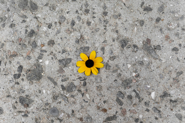 Весенняя ревизия тротуарной плитки: что проверить после схода снега