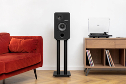 Полочная акустика Radiotehnika Sigma 1.01 Black Ash