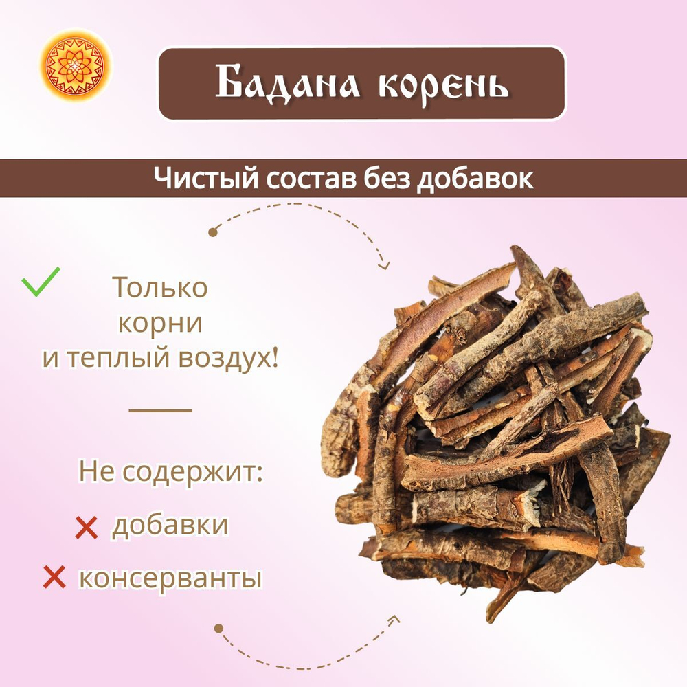 Бадан корень.