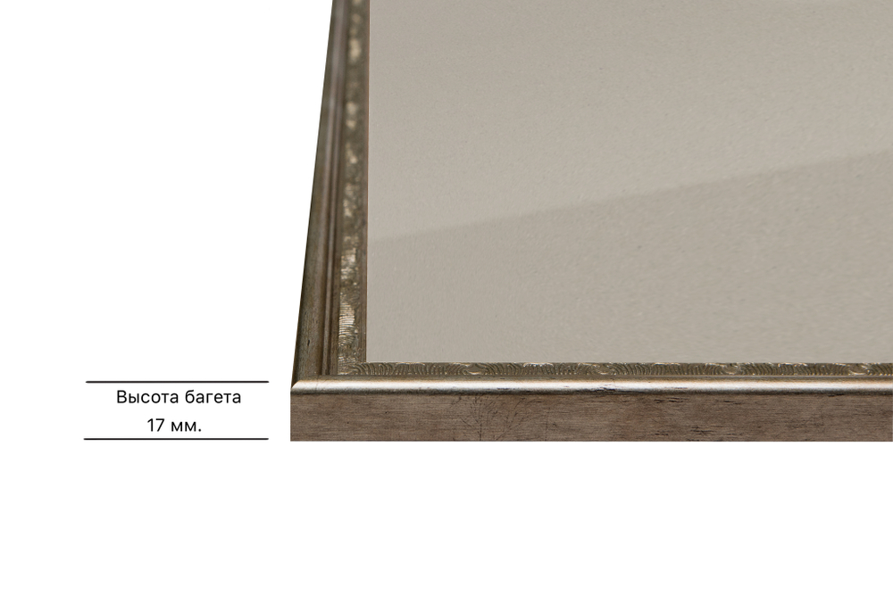 Рамка 40x90 для постера и фотографий RPS0752240-02(P87)