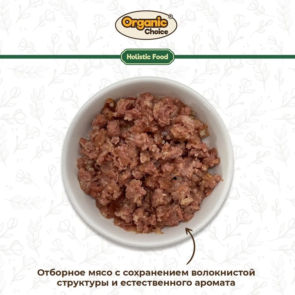 Organic Сhoice Holistic - консервы для собак с кониной