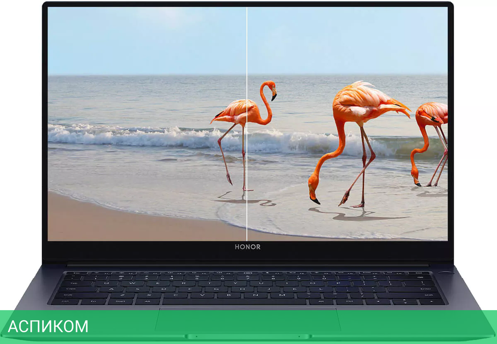 Ноутбук Honor MagicBook X 14 2023 FRI-F56