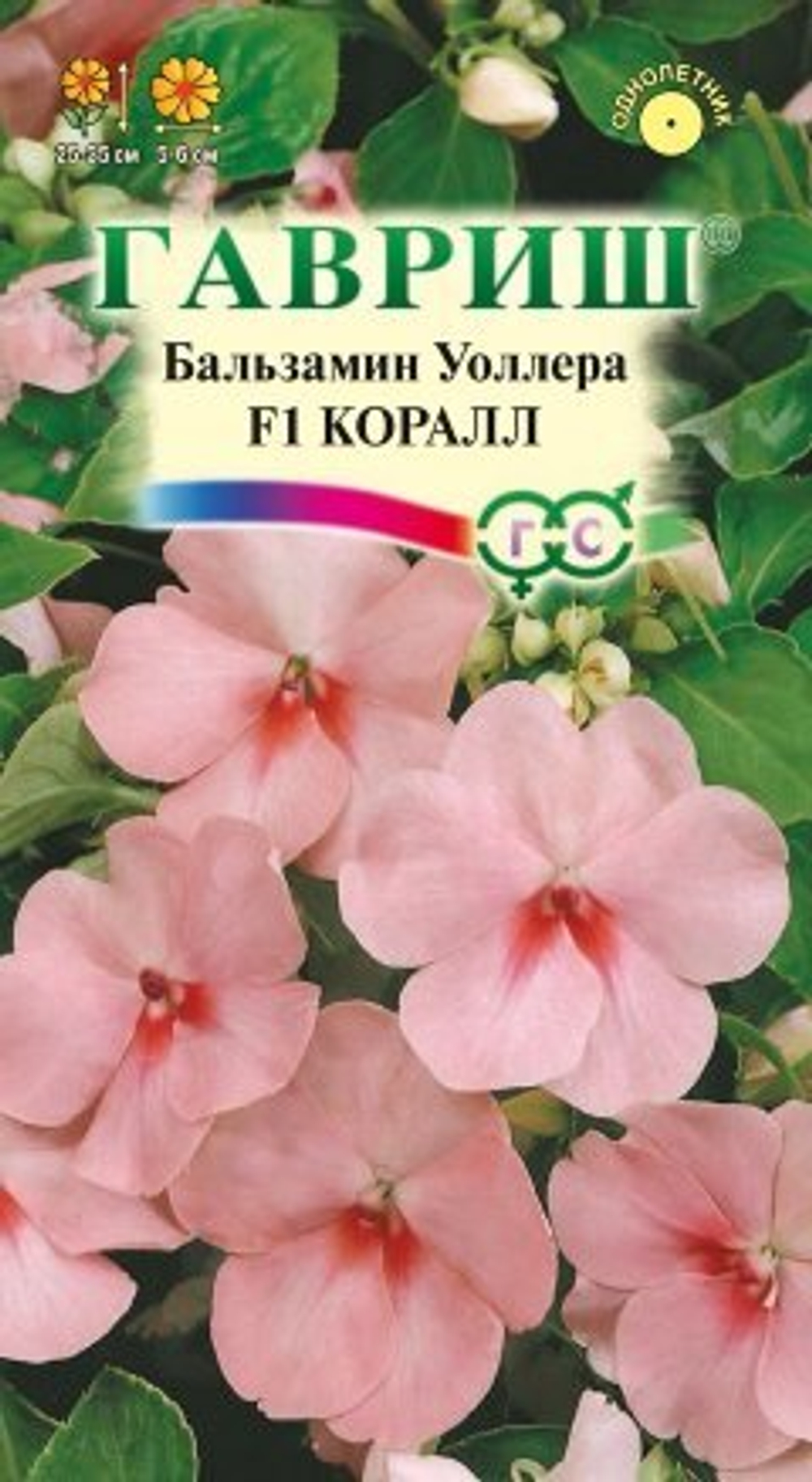 Бальзамин Коралл F1 (Уоллера) 5шт