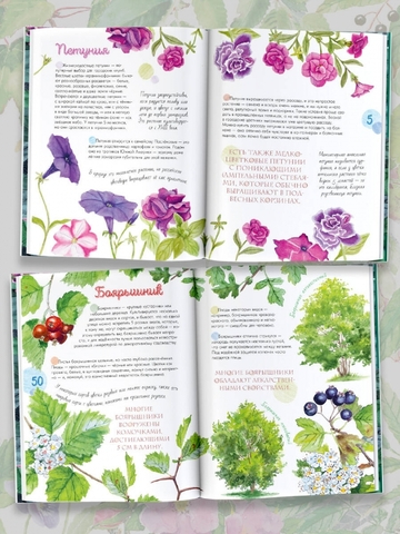 Растения в городе