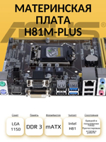 S-1150 Материнская плата Asus H81M-PLUS