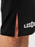 Шорты спортивные ММА Legenda Рать, черные