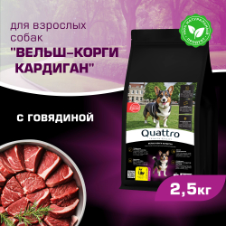 Корм для взрослых собак породы Вельш-корги кардиган, с говядиной, 2,5 кг, QUATTRO