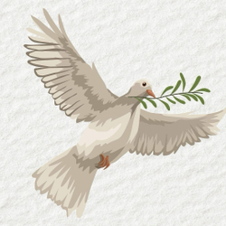 Оливковое масло Critida Sitia 02, ж/б, Греция