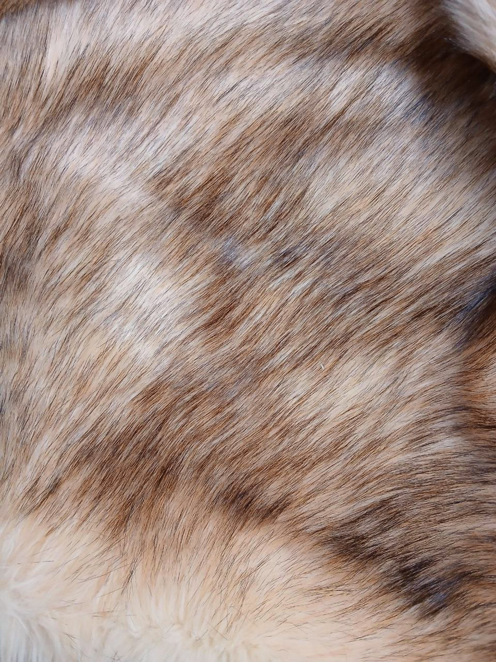 Лиса янтарная мех искусственный густой длинноворсовый 50 мм