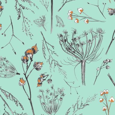 Ботаническая иллюстрация 