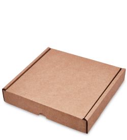 ГК-46 Коробка самосборная гофрокартон 250х240х40