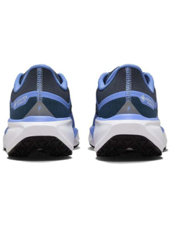 Кроссовки Nike Air Zoom Pegasus 41 Gore-Tex Cobalt