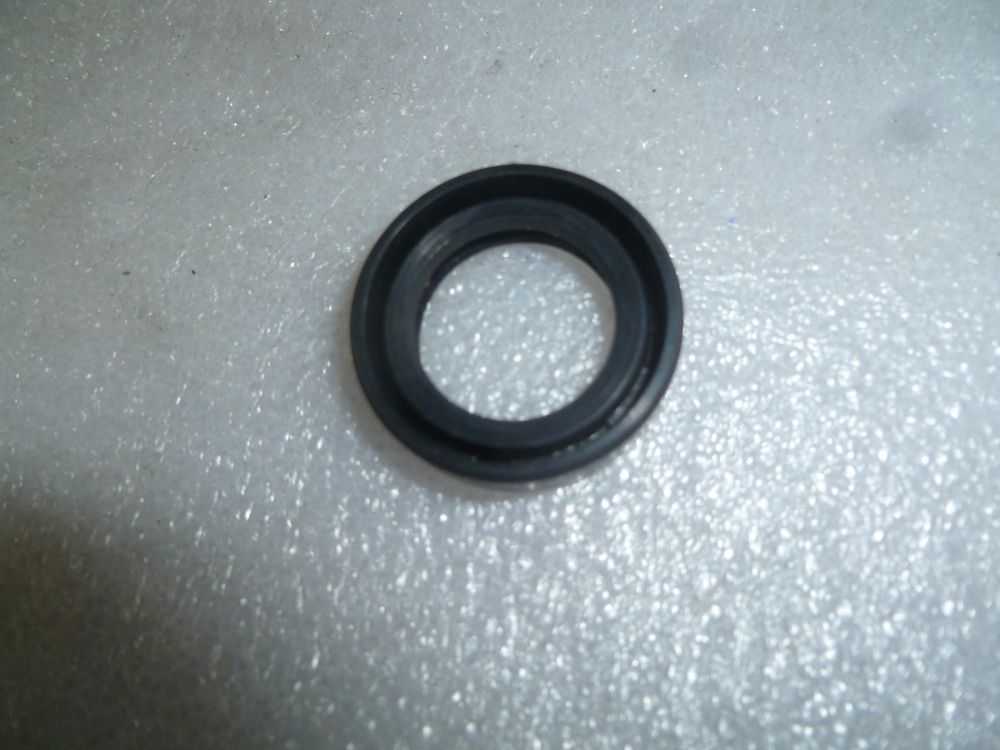 Сальник (20x30x6) штока цилиндра вибратора виброплиты TSS-WP160/170/320/Oil seal