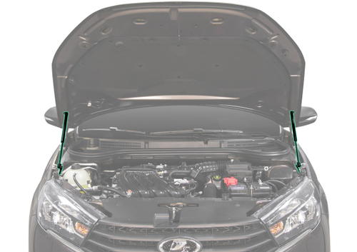 Газовые упоры капота Pneumatic для Lada Vesta 2015-н.в., 2 шт., KU-LD-VS00-00
