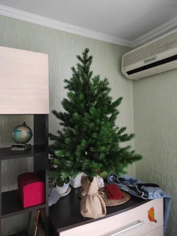 Ель Царь Елка Астерия Премиум 90см 3D