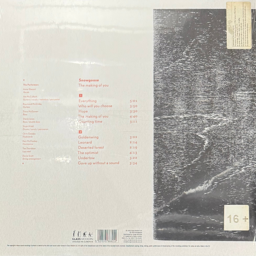 Виниловая пластинка Snowgoose - The Making Of You LP
