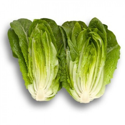 Аувона семена салата ромэн (Rijk Zwaan / Райк Цваан)