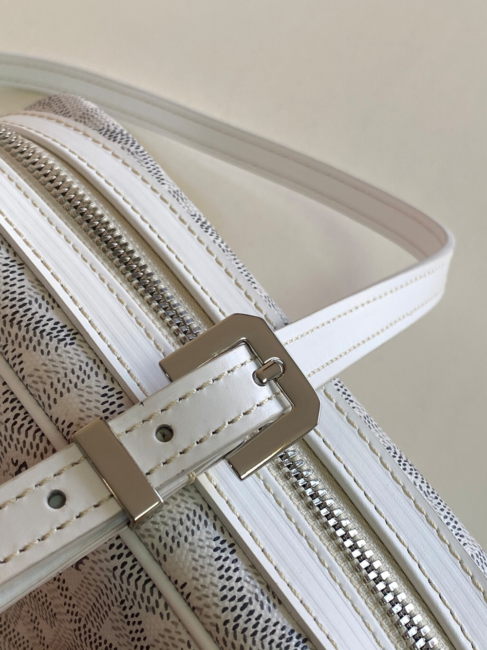 Goyard Cap-Vert PM Bag