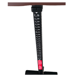 Инверсионный стол Scholle 12N