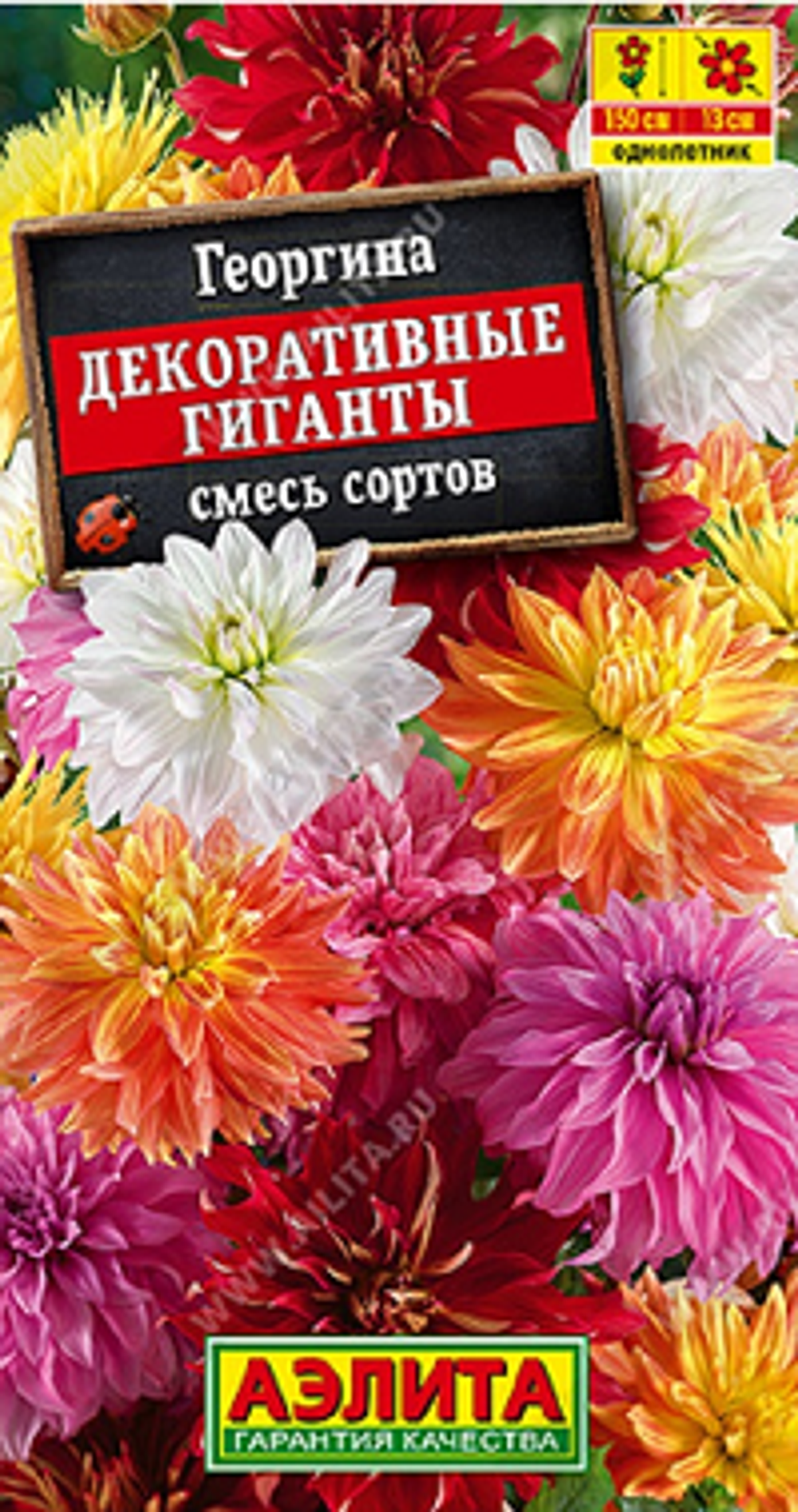 Георгина Декоративные гиганты, смесь сортов