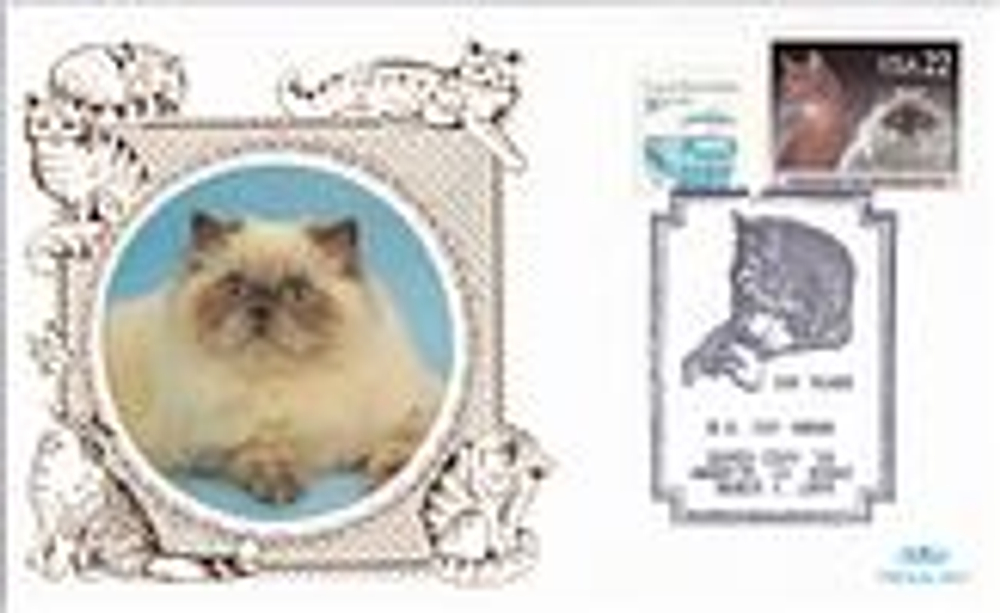 Сувенирный конверт США от 4 марта 1995 года с двумя марками и спецгашением