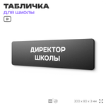 Табличка Директор школы, школьные таблички на дверь кабинета, 30х8 см, Айдентика Технолоджи
