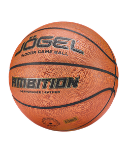 Мяч баскетбольный Ambition №5