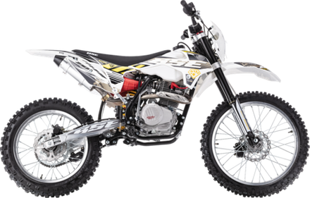 Z2 Roqvi Yellow
