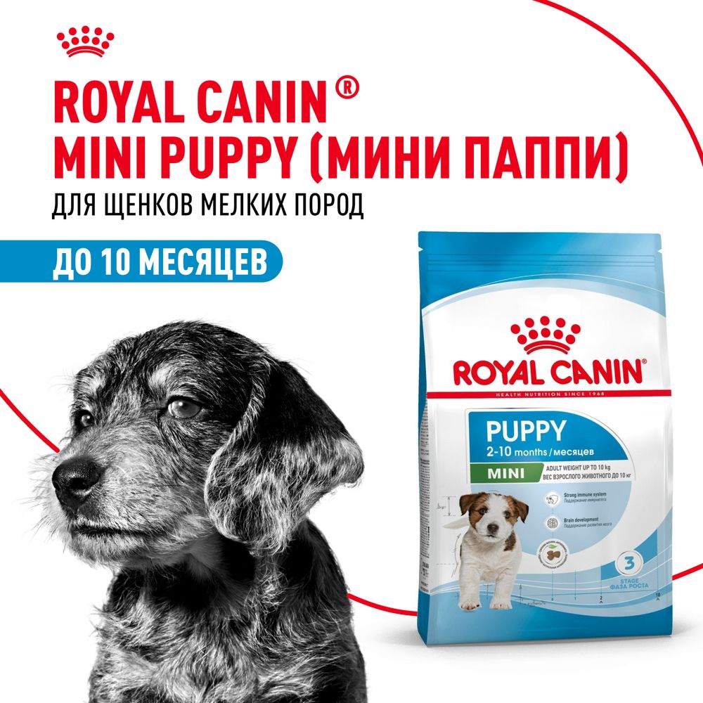 Сухой корм Royal Canin Mini Puppy для щенков мелких пород в возрасте до 10 месяцев Сухой корм Royal Canin Mini Puppy для щенков мелких пород в возрасте до 10 месяцев