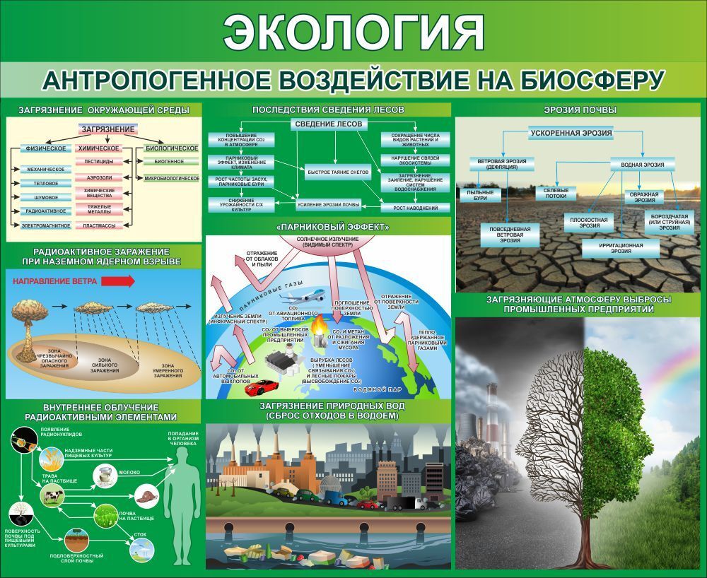 Стенд &quot;Экология Антропогенное воздействие на биосферу&quot;