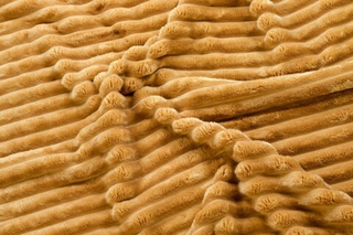 Велюр Therapy (Терапия) 004