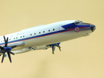 Модель самолёта Ту-114 (М1:100 Аэрофлот СССР)