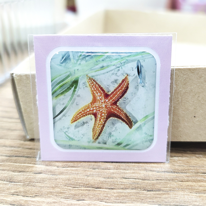 Объемная наклейка Морская звезда