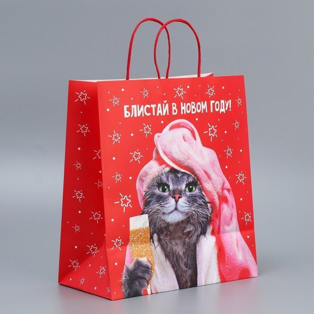 Пакет подарочный 28 × 32 × 15 см крафтовый «Блистай» (Дарите Счастье)