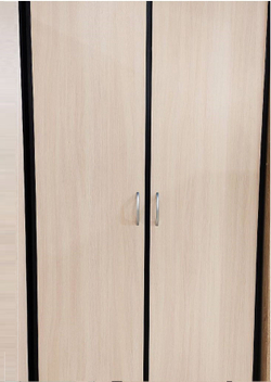 Шкаф 2-х створчатый Дуэт Люкс без зеркала Венге/дуб