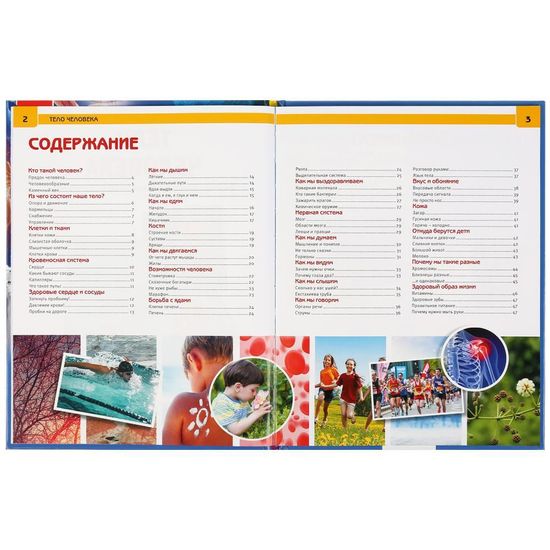 Энциклопедия А4 с развивающими заданиями. Тело человека. Тв. переплет. 48стр. Умка