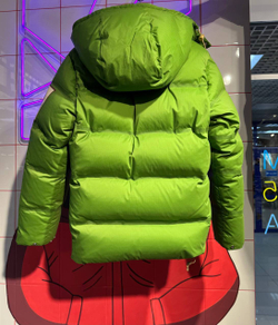 Пуховик The North Face x Gucci