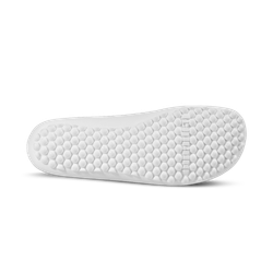 Leguano FLAIR