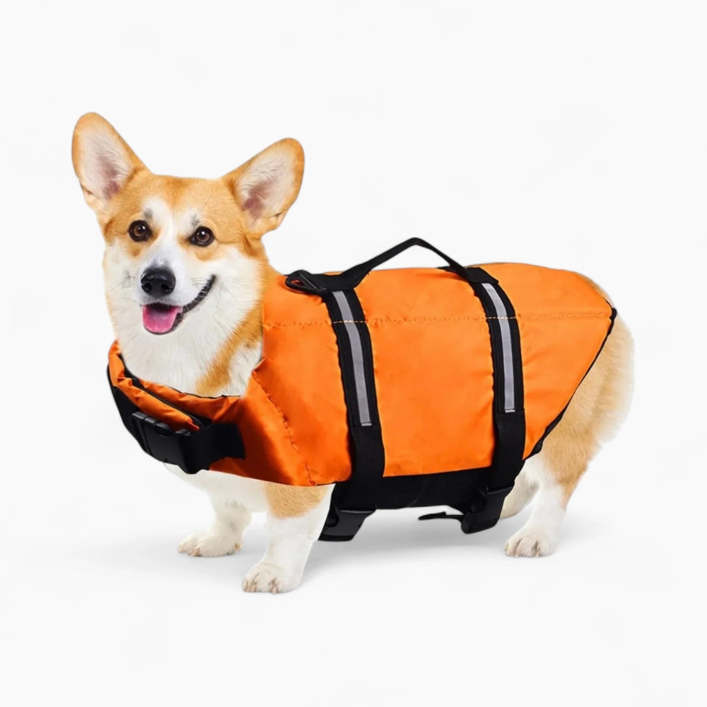 Спасательный жилет «Water Guardian»