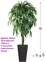 Искусственное дерево Фикус Лонгифолия 180см в высоком коричневом кашпо ротанг
