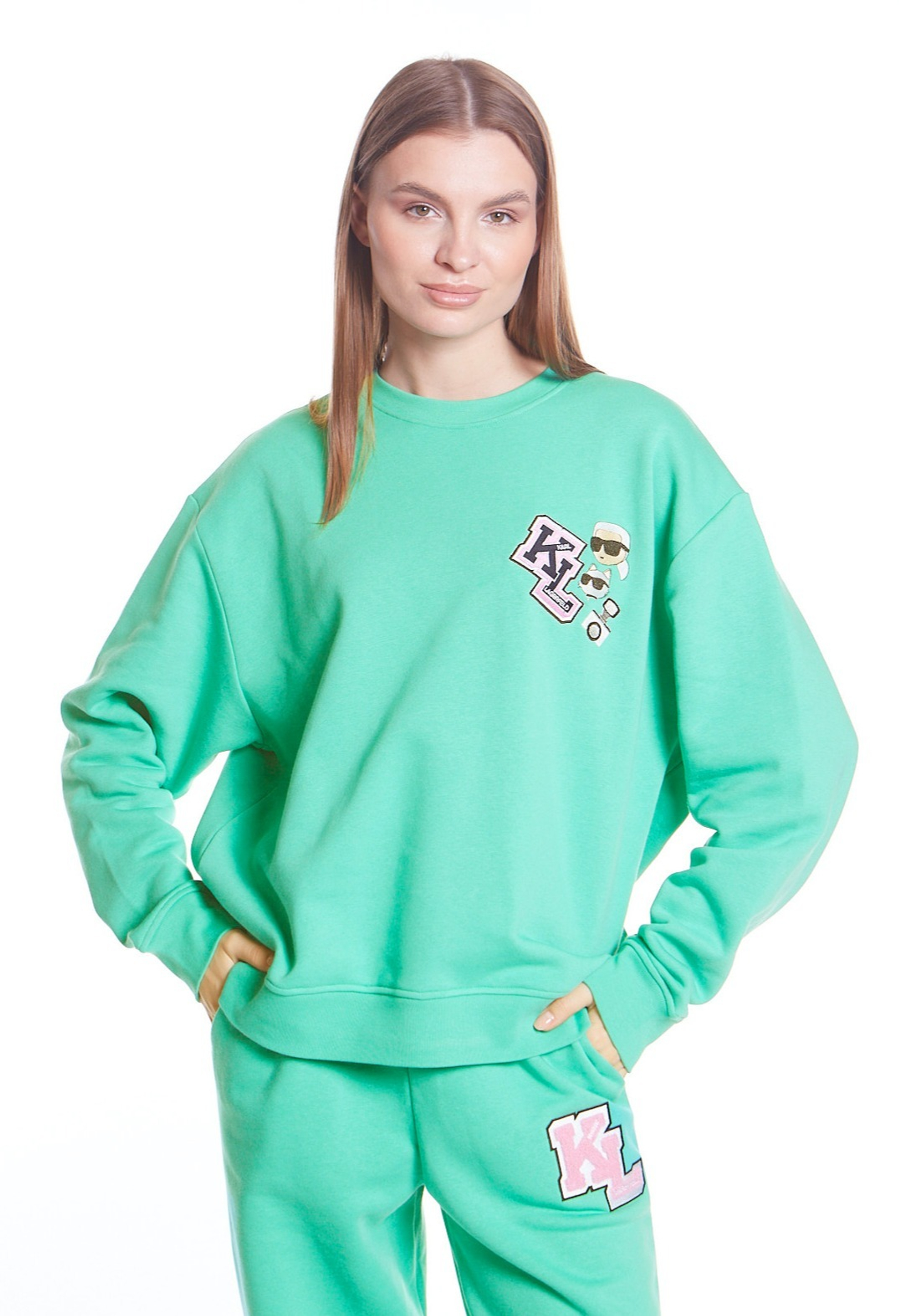 ТОЛСТОВКА В НАШИВКОЙ